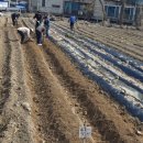 진숙농장 이미지