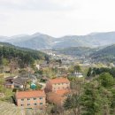 나무해담 이미지