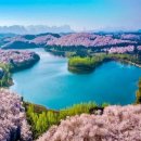 안순농장 이미지