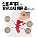 신흥개발 네이버블로그