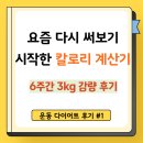 청양군청 | [공지] 요즘 다시 써보기 시작한 ‘칼로리 계산기’ — 6주간 3kg 운동 다이어트 후기