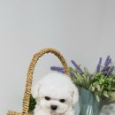 주안서로 이미지