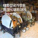 네이쳐캠프70s 1 | 울산 가볼만한곳 태화강국가정원 피크닉 바니캠프 텐트대여 캠핑