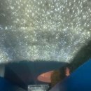 워터킹덤 워터파크 & 스파 이미지