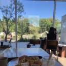 예삐애견 | 좋은 인천 영종도 대형카페 [ 빌리앤오티스 ] 추천 후기 내돈내산 애견동반 캠핑느낌 베이커리맛집 주차