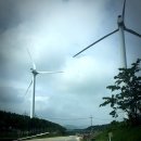 신호목장 이미지