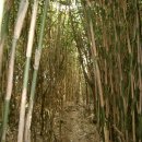 작곡재 우측 이미지