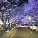 김유신장군로 이미지