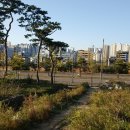 성이바이오(주)