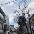 [연남동 카페 추천] 얼스어스 연남 케익 맛집 (메뉴/ 가격/ 베리베리스트로베리 요거트 케이크 후기)
