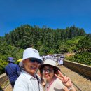 광활우체국 | 스리랑카 여행 우리만의 단독 자유 패키지 트립빌리지 후기