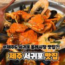 제주도 서귀포 올레시장 근처 맛집 홍당무 떡볶이 솔직후기