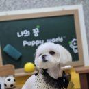 에이치에스교육