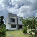 신트라움 이미지