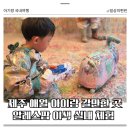 윤스팜 제4농장 | 제주 애월 아이랑 가볼 만한 곳 | 알레스팜 액션페인팅 이색 체험 후기