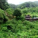 산골산장민박 이미지