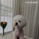 수원종합동물병원 이미지