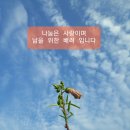 황금씨앗 이미지