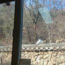 복이네뷔페 이미지