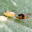 정은농장 이미지