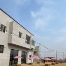 마켓진양호평택점 이미지