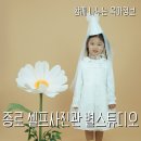 하이하이스튜디오 이미지