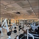 더 보스짐 이미지