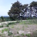 New링크공인중개사사무소 이미지