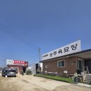 선월농장 | 텃밭 준비 성주육묘장 참외 모종 &amp; 대동농자재백화점 자재 구입기 참외 농사 시작