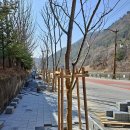 사북초등학교 이미지