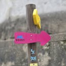 동향면 행정복지센터 | 길 12구간-(고개너머 동향길)-(안천소운동장~긴재~상노~가래재~상능~용담향교~동향면행정복지센터)-260523