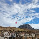 나무가 들려주는 환경이야기 이미지