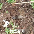 덕성산업 이미지