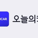 카티스트스튜디오