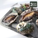 바다야 밥 먹자 이미지