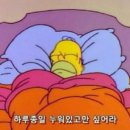 스드메? 웨딩베뉴? 예비신부를 위한 결혼준비 용어 총정리