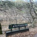 금동뷔페 이미지