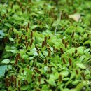 서광동리 이미지