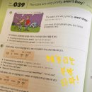 생생 기초 영문법 | 기초영문법 뼈대가 잡히는 교재, 강의 독학 후기