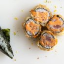 토론토 캣 이미지