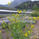 구억농장 이미지