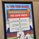 더하루 담양 아기랑 카페 방문후기