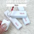 스테이뮤즈 | 안 지워지는 틴트 Melv 멜브 스테이뮤즈 립타투 후기