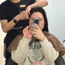 더블유티메소드 클래시 압구정점 | 강남탈모관리 압구정두피관리 WT메소드 클래시 압구정점에서 두피 클리닉 받기