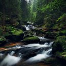 바바리아 이미지