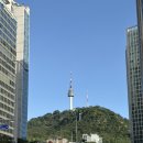 명동온누리약국 네이버블로그