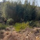 내리농장 이미지