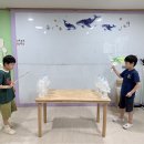 🦁찾아오는 교통안전 교육 및 그룹수업🦁 이미지