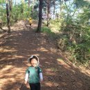 성분도어린이집 이미지