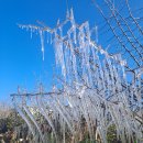 우리농원 이미지